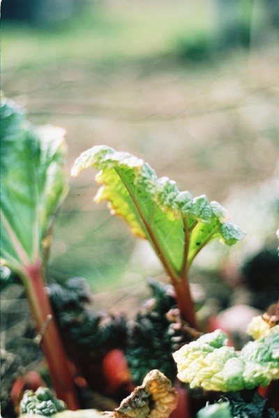 17April2016Cinestill39