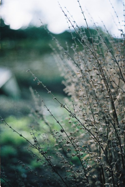 24Feb2016CinemaPro44